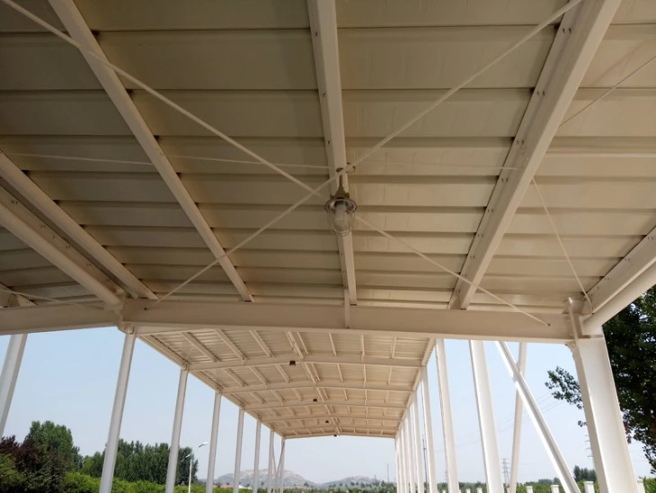 Steel Structure Carton Processing Workshop Steel Structure Carton Processing Workshop